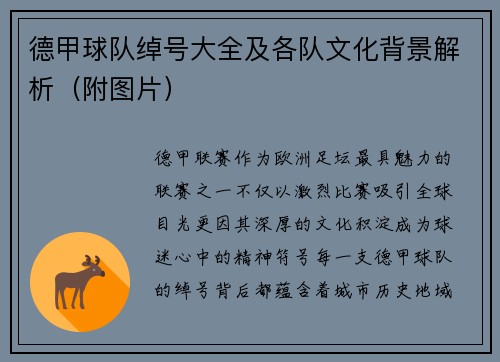 德甲球队绰号大全及各队文化背景解析（附图片）