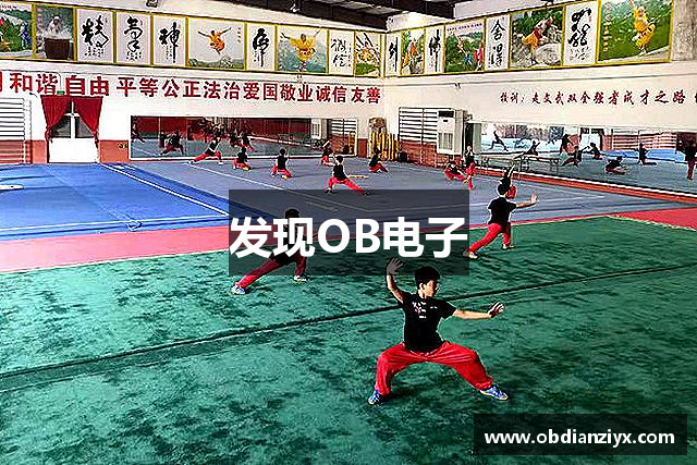 发现OB电子